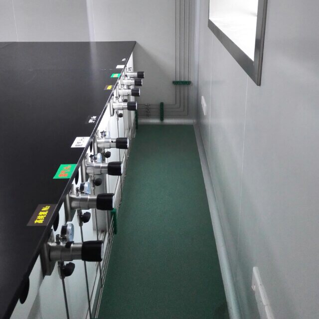 通用生物(wù)系統(安徽(hui))有限公司(si)實驗室集(jí)中供氣工(gong)程